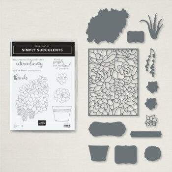 Produktpaket_SimplySucculents_156264